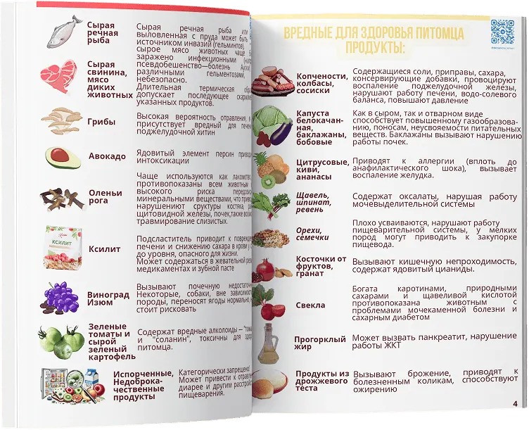 Скачайте шпаргалку «Запрещённые продукты для животных»
